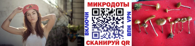 Псилоцибиновые грибы Psilocybe  Купить где  Краснокамск 